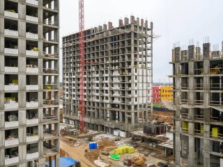 Лес в городе: как в Красногорске не только строят дома, но и озеленяют территории