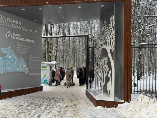 Экологическая экскурсия о жизни зимнего леса прошла в парке «Городской лес»