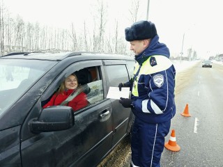 Госавтоинспекция Рузы усилила контроль за соблюдением правил перевозки детей