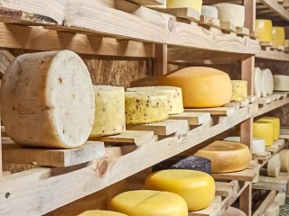 День сыра: как выбрать качественный и распознать халтуру, объяснили в Роспотребнадзоре