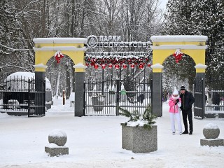 Фотоквест: как собрать виртуальную елку из праздничных локаций Ступина