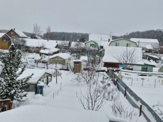 Как за январские дни снять 80% весенней нагрузки на даче: советы агронома