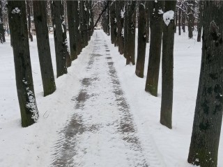 В Домодедове круглосуточно убирают снег: на улицах работают 88 машин