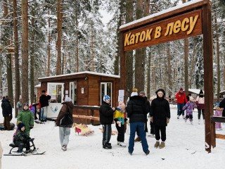 В Раменском открылся сказочный лесной каток у озера Гидра