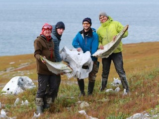 Среди бивней бизонов и костей мамонтов: как аспиранты Пущинского научного центра изучают прошлое планеты