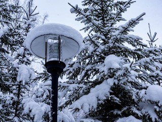 Арктический антициклон накроет Москву и Подмосковье: когда ждать пика холодов