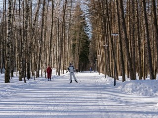 В Подмосковье на Крещение не ждут сильных морозов
