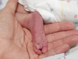 Роддом Подольска отметил Новогодье пятикратным девичьим хором: 2026-й начался с криков радости