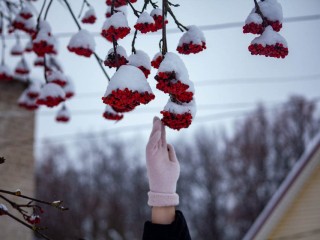 Погода готовит сюрприз: когда в Подмосковье придут морозы до -30 градусов — прогноз синоптика