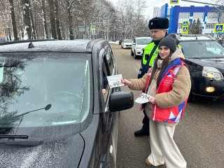 Водителям Воскресенска объяснили, как ремень безопасности может спасти жизнь маленьких пассажиров