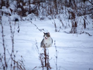 Низкие температуры и гололед: как сергиевопосадцам легко пережить выходные