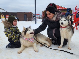 Чаепития, выставки и фотосессии с хаски ждут солнечногорцев в парках