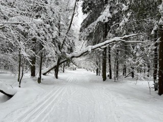 Снежный армагеддон 9 января: жителей Подмосковья предупредили о полуметровых сугробах