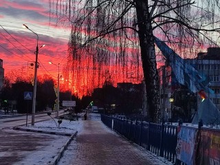 Ой, мороз-мороз: волна холода накроет Подмосковье к ближайшим выходным