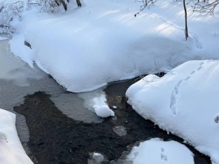 Река Сетунь под ударом: как в Кубинке поймали нелегальный сброс сточных вод
