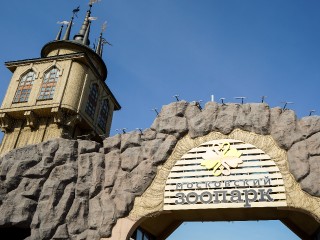 Возивший снаряды на СВО ослик приехал в Московский регион на отдых: где можно посмотреть на животное