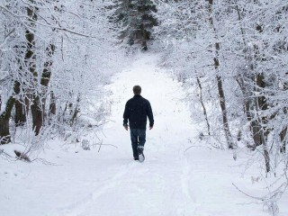 В Кашире не оставляют попыток найти пропавшего полгода назад белоруса