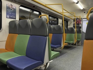 Две домашние крысы брошены в электричке под Москвой: «сфинкс» и обычная белая ищут хозяев