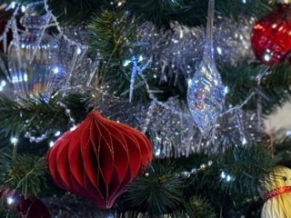 Лыжи вместо иголок: в Черноголовке выросла спортивная елка