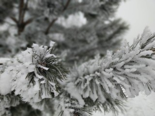 От -3° до -13°: Подмосковье ждут снег, небольшое потепление и возвращение морозов