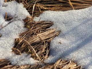 В Подмосковье наступит резкое потепление, но до нуля температура не дойдет