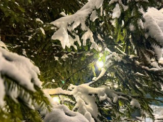 Морозы резко усиливаются: насколько холодно будет в Подмосковье