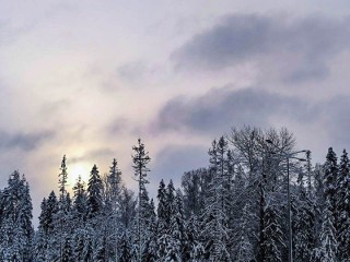 Так близко к рекорду: атмосферное давление в столичном регионе едва не выдало рекорд