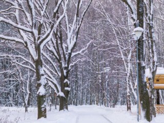 На Подмосковье обрушатся небывалые снегопад и холод! Тишковец прогнозирует огромные сугробы и 20-градусные морозы