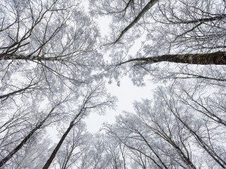 Аномальные морозы надвигаются на Подмосковье