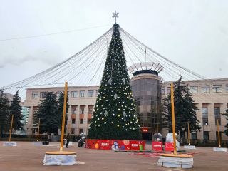 Новогодние мероприятия в Реутове собрали около 5,5 тыс. человек
