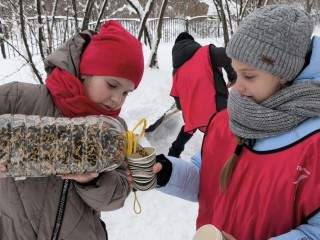 Шатурские школьники позаботились о пернатых друзьях