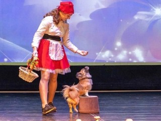 Пушистые артисты выступят в Доме культуры «Центр Молодежи»