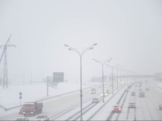 До полуметра снега: циклон «Фрэнсис» может побить столетние рекорды в Московской области