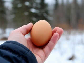 В Павлино снова «яичный дождь». Владельцам авто советуют готовить иски