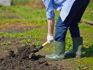 Что скрывает ваш участок? Как ткнуть в землю лопатой в Подмосковье и не попасть в объект культурного наследия