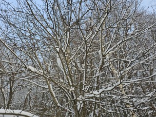 Синоптики рассказали, какая погода ждет жителей Подмосковья 17 и 18 января