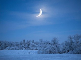 Утром — рывок, днем — заземление: каким будет 21 января по лунному календарю