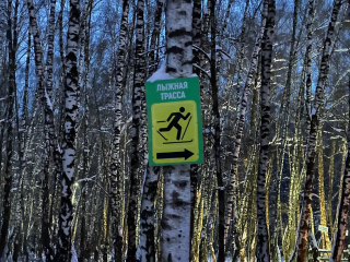 Почему парк «Городской лес» стал популярным местом для зимнего отдыха