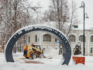 Экстремальный «Френсис»: как Кашира выстояла в снежном апокалипсисе