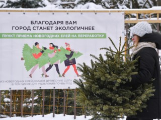 Отгуляла — пусть поработает: где в Подмосковье сдать елку и как подарить ей вторую жизнь