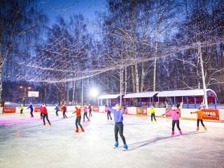 Бесплатный каток площадью 800 кв.м. открыли в Сестрорецком парке