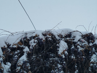 Еще один циклон с юга приближается: Рождество в Подмосковье будет снежным и морозным