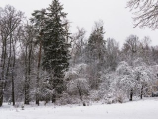 Морозы до -26? В выходные в Москве и Подмосковье будет очень холодно