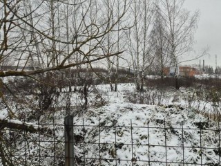 Котлованы вместо очистных: экологи Луховиц провели «урок» для переработчиков овощей