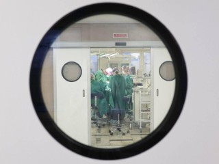 «Мы восстанавливаем не только форму, но и качество жизни»: в Подмосковье бесплатно проводят реконструкцию груди после рака