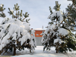 На Крещение в Красногорске экстремальных морозов не будет