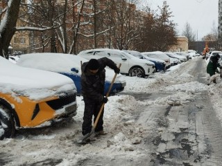В Химках студенты помогли диспансеру почистить дороги