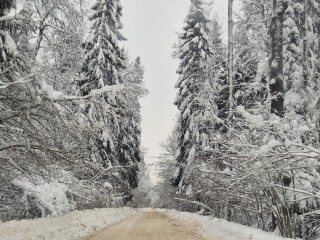 Грейдеры пробивают дороги к заснеженным селам и деревням вблизи Пушкино