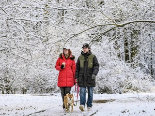 Февраль готовит сюрприз: как закончится зима в Подмосковье — прогноз синоптиков