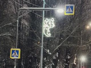 Креветка или енот? На улицах Балашихи встретили неизвестного науке зверя